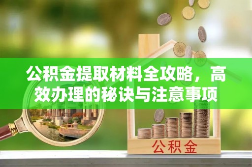 大新公积金提取材料全攻略，高效办理的秘诀与注意事项
