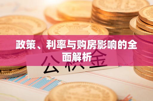 大新政策、利率与购房影响的全面解析