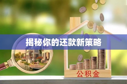 大新揭秘你的还款新策略