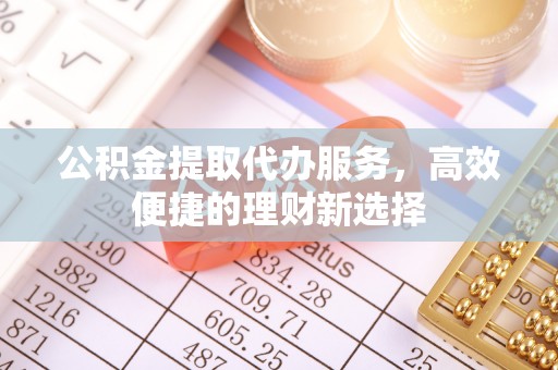 大新公积金提取代办服务，高效便捷的理财新选择