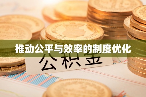 大新推动公平与效率的制度优化