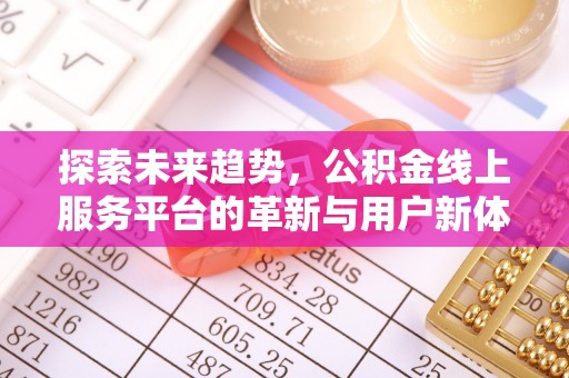 大新探索未来趋势，公积金线上服务平台的革新与用户新体验