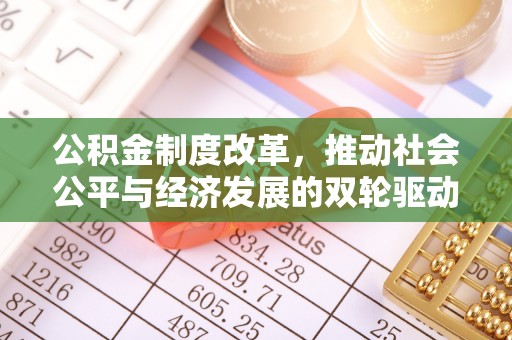 大新公积金制度改革，推动社会公平与经济发展的双轮驱动