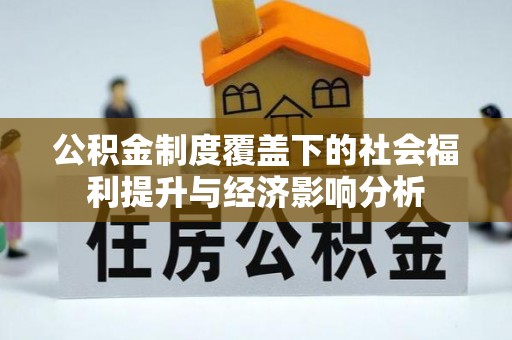 大新公积金制度覆盖下的社会福利提升与经济影响分析