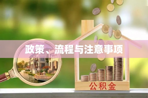 大新政策、流程与注意事项