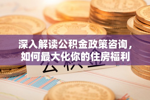 大新深入解读公积金政策咨询，如何最大化你的住房福利