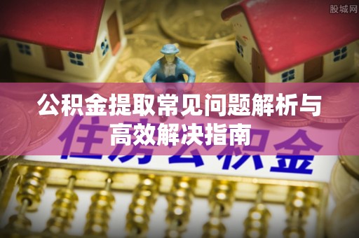 大新公积金提取常见问题解析与高效解决指南