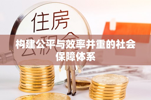 大新构建公平与效率并重的社会保障体系