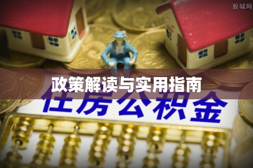 大新政策解读与实用指南
