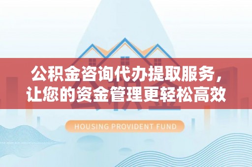 大新公积金咨询代办提取服务，让您的资金管理更轻松高效