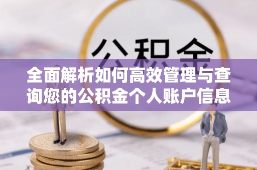 大新全面解析如何高效管理与查询您的公积金个人账户信息