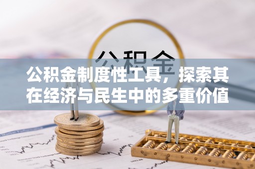 大新公积金制度性工具，探索其在经济与民生中的多重价值