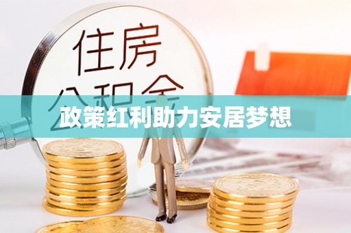 大新政策红利助力安居梦想