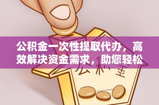 大新公积金一次性提取代办，高效解决资金需求，助您轻松应对生活难题