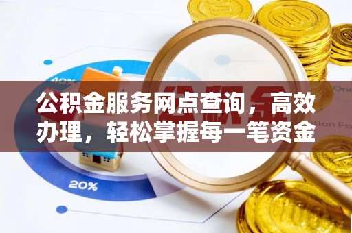 大新公积金服务网点查询，高效办理，轻松掌握每一笔资金动态