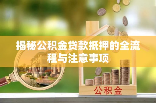 大新揭秘公积金贷款抵押的全流程与注意事项