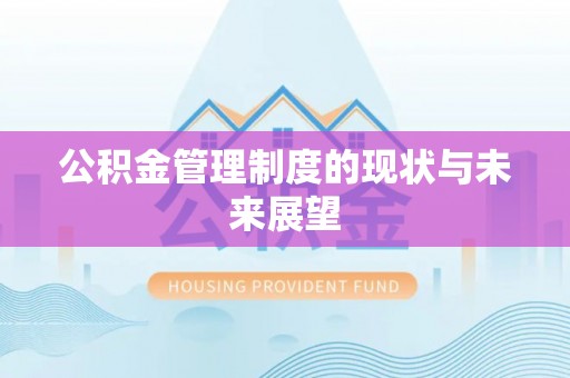 大新公积金管理制度的现状与未来展望