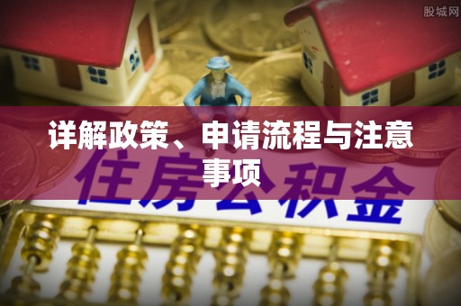 大新详解政策、申请流程与注意事项