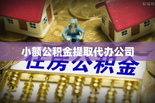 大新小额公积金提取代办公司