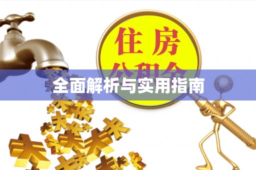 大新全面解析与实用指南