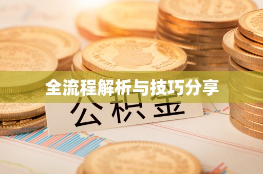 大新全流程解析与技巧分享
