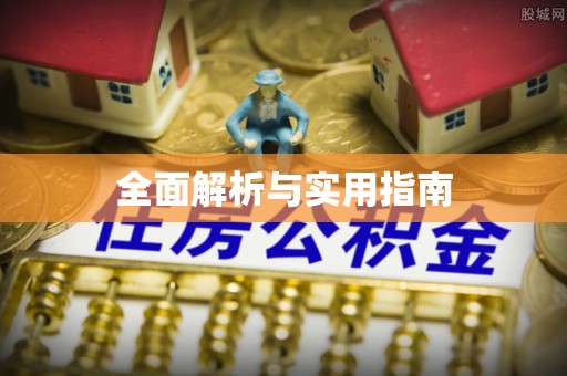 大新全面解析与实用指南